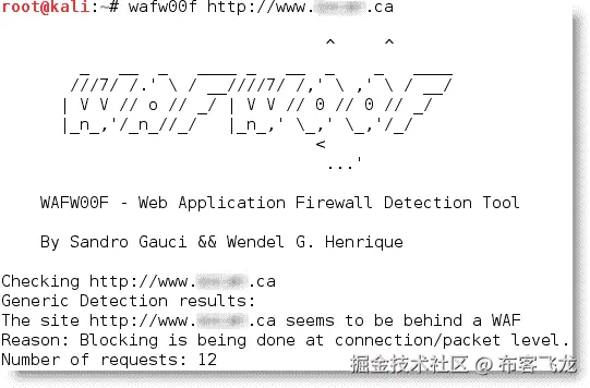 对网站进行侦察