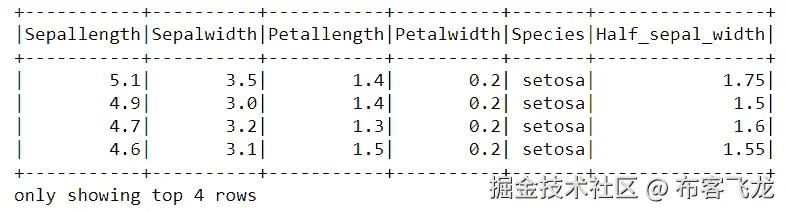 图 4.10：引入新列 Half_sepal_width