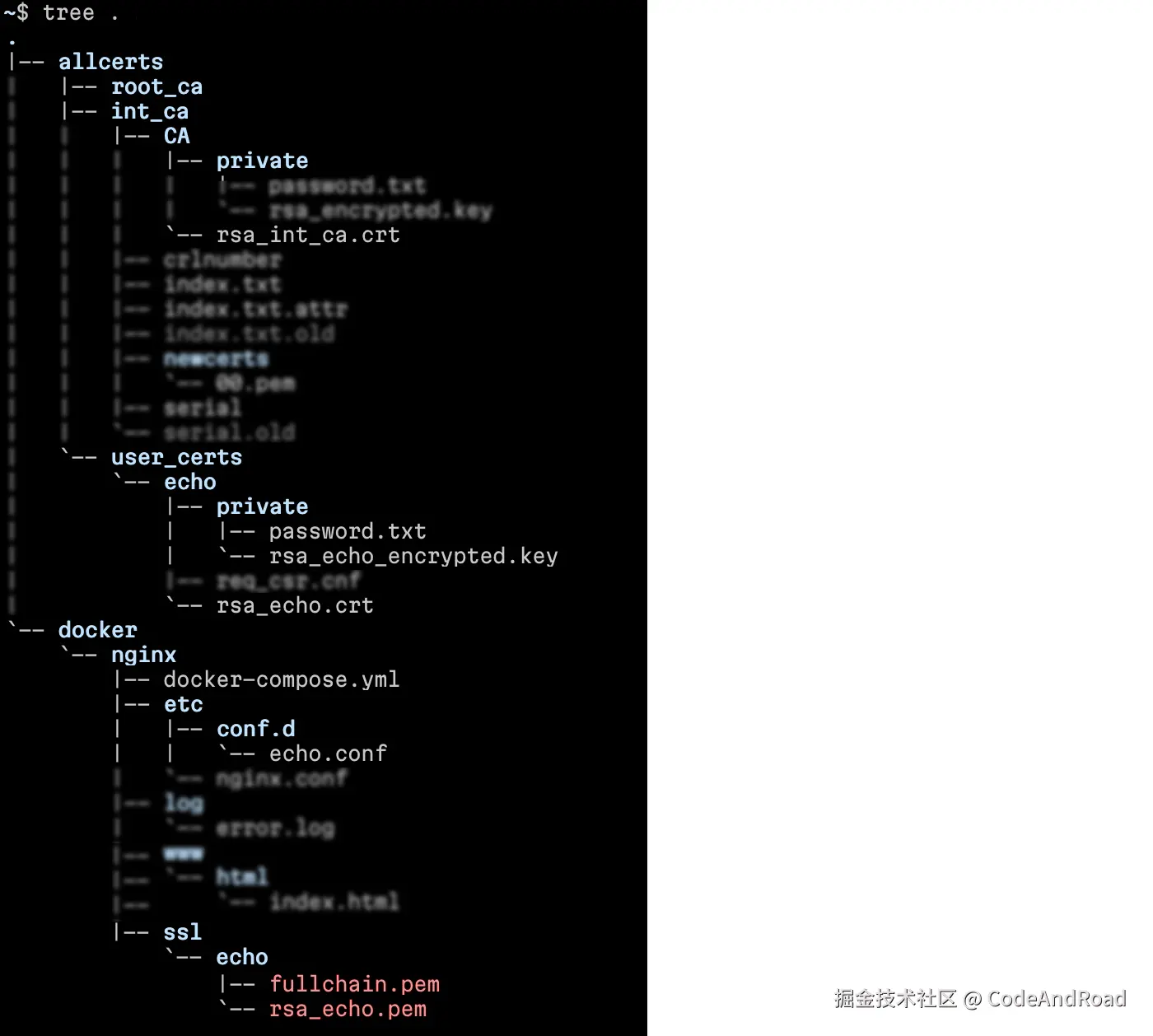 docker_nginx_certs_dir_structure_juejin.png