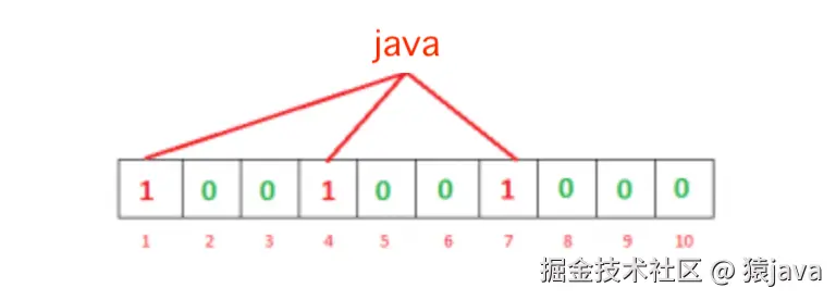 bloom-java.png