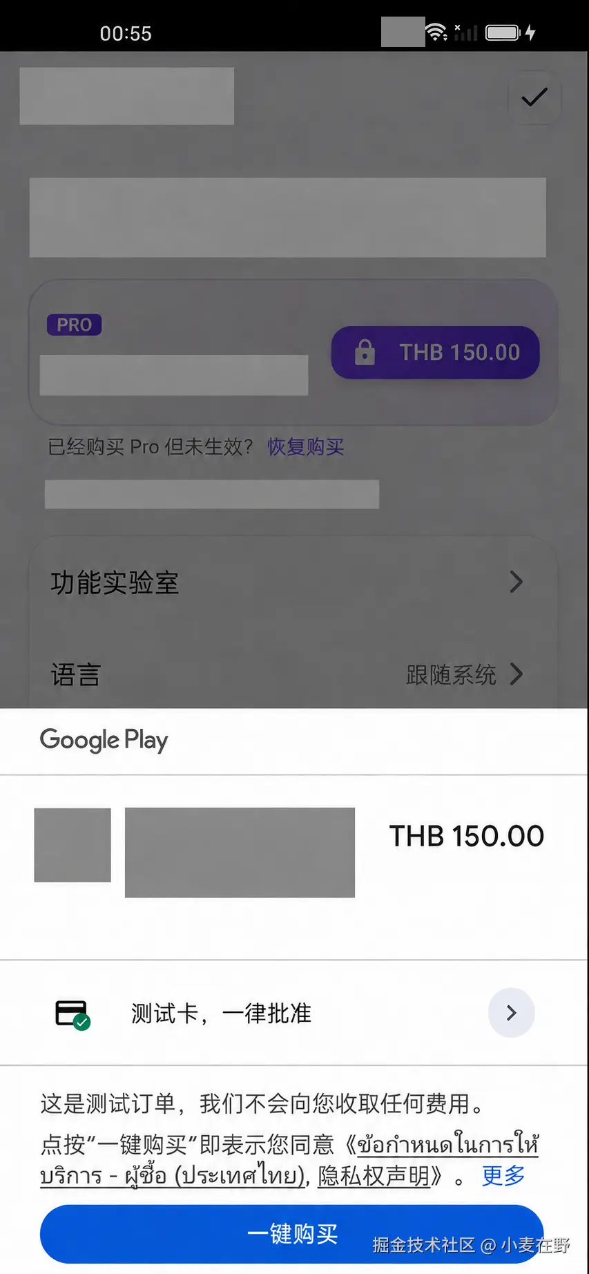 Google Play 测试购买面板