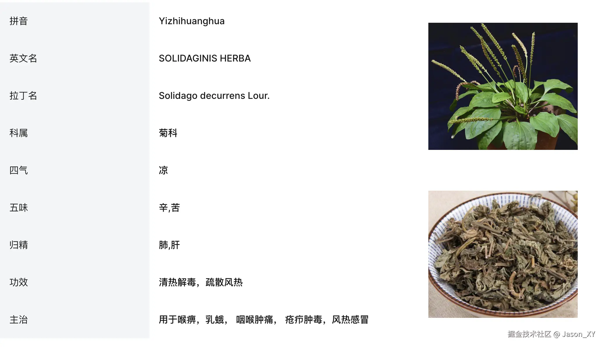 Screenshot 2024-07-11 at 14.51.08.png