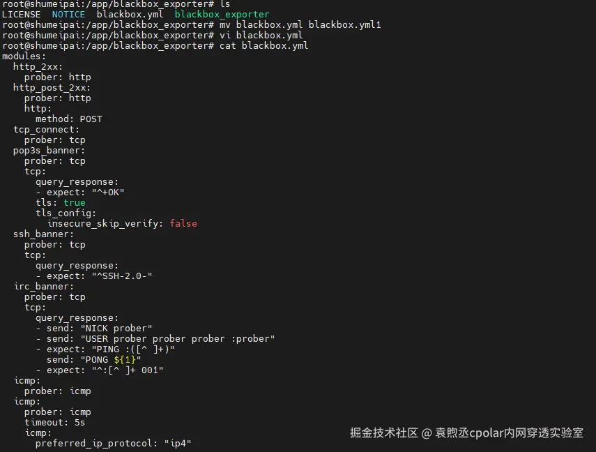 image-20251111170712116