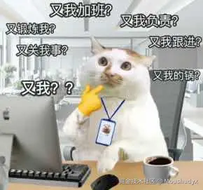9cd26134-eb75-406b-b6aa-e5ad2a8b8478.png