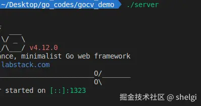 image-20240904155633674