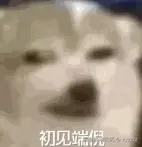 1735716072572.png