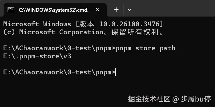 pnpmstorepath.png