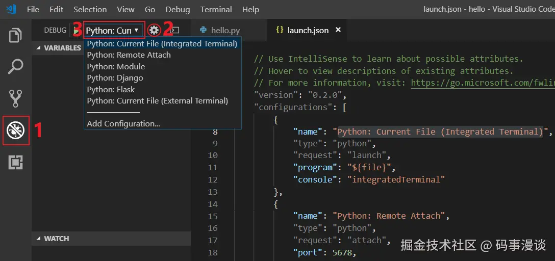 launch.json 文件内容示例