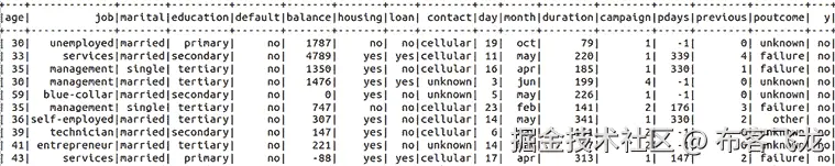 图 6.1 – 银行数据集中初始 DataFrame 的数据样本