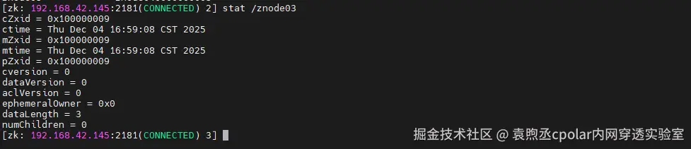 image-20251204170356626