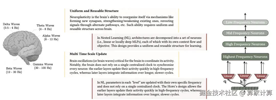 图表比较了生物脑电波和神经可塑性与嵌套学习模型中使用的均匀结构和多频更新。
