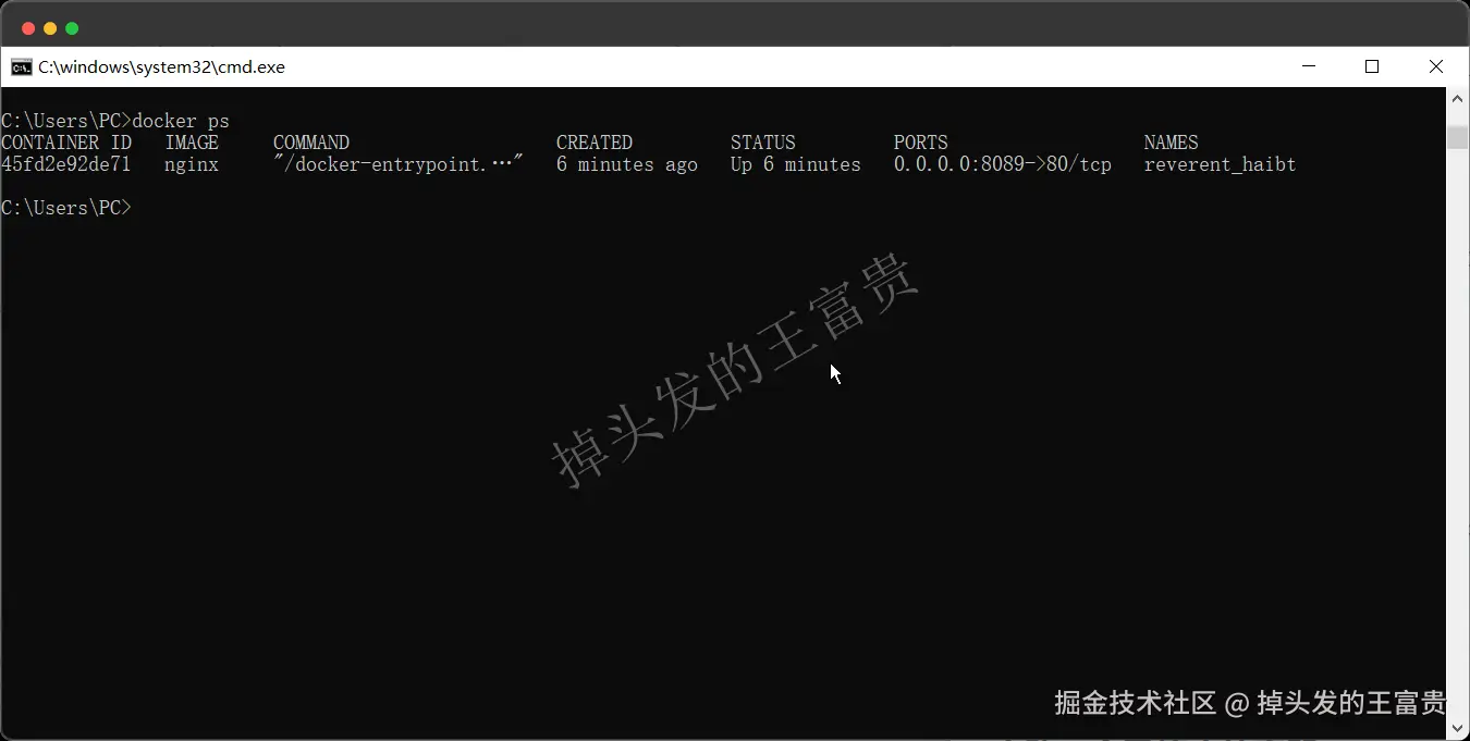 image-20240815195840619