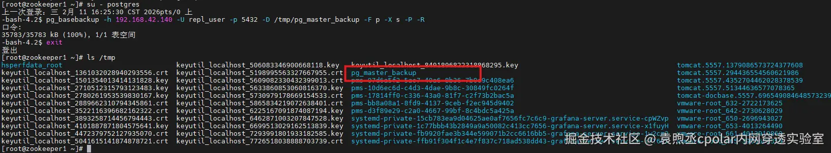 image-20260211162830551