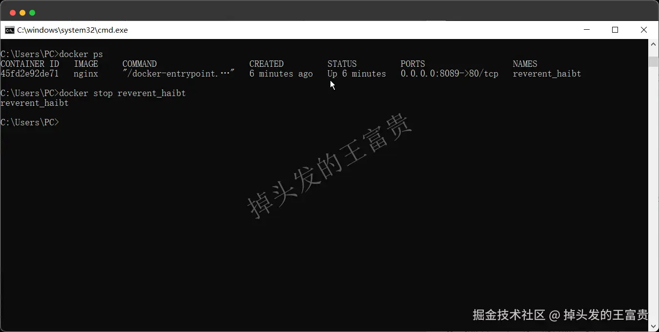 image-20240815195912361