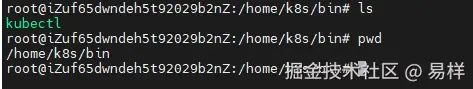 home_k8s_bin.png