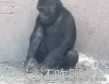 这还咋聊