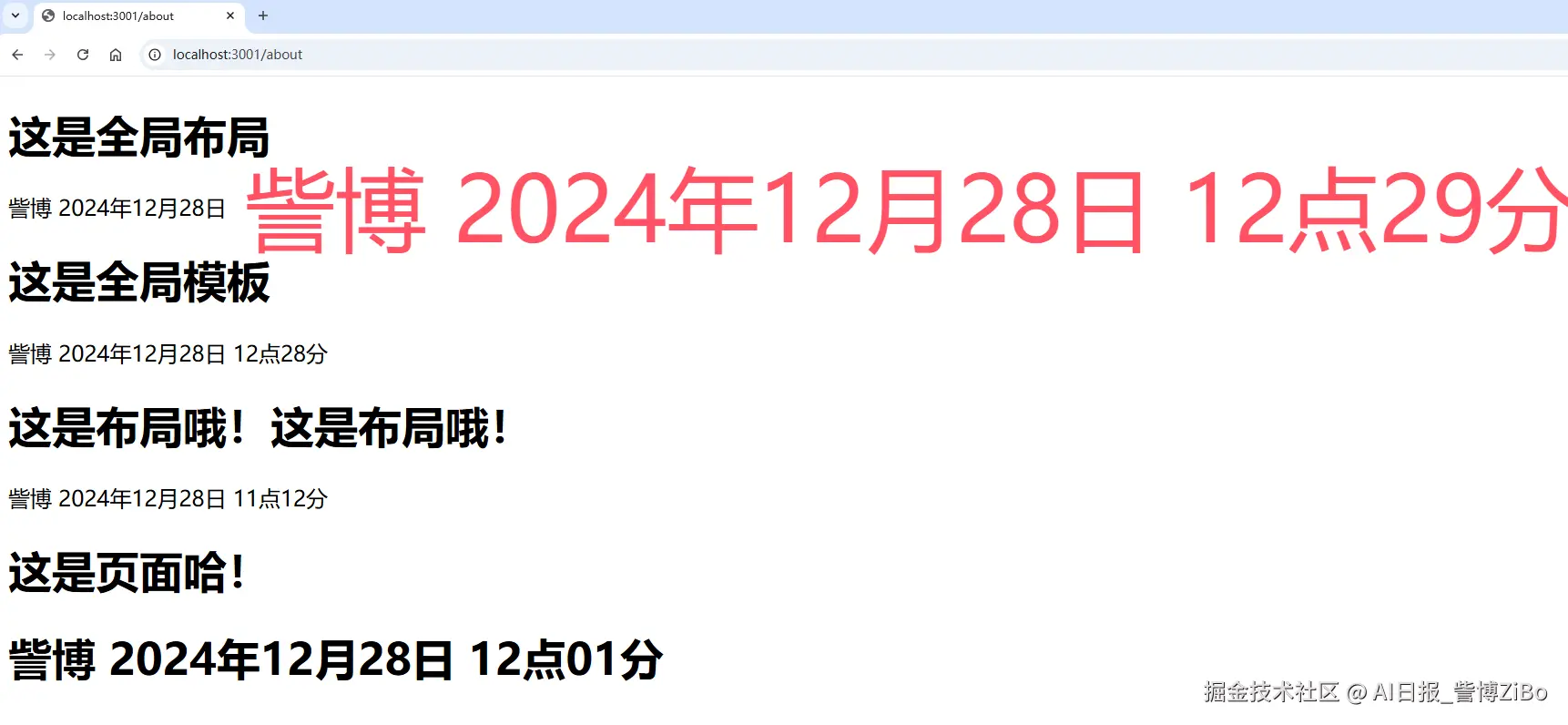 image-20241228123008449