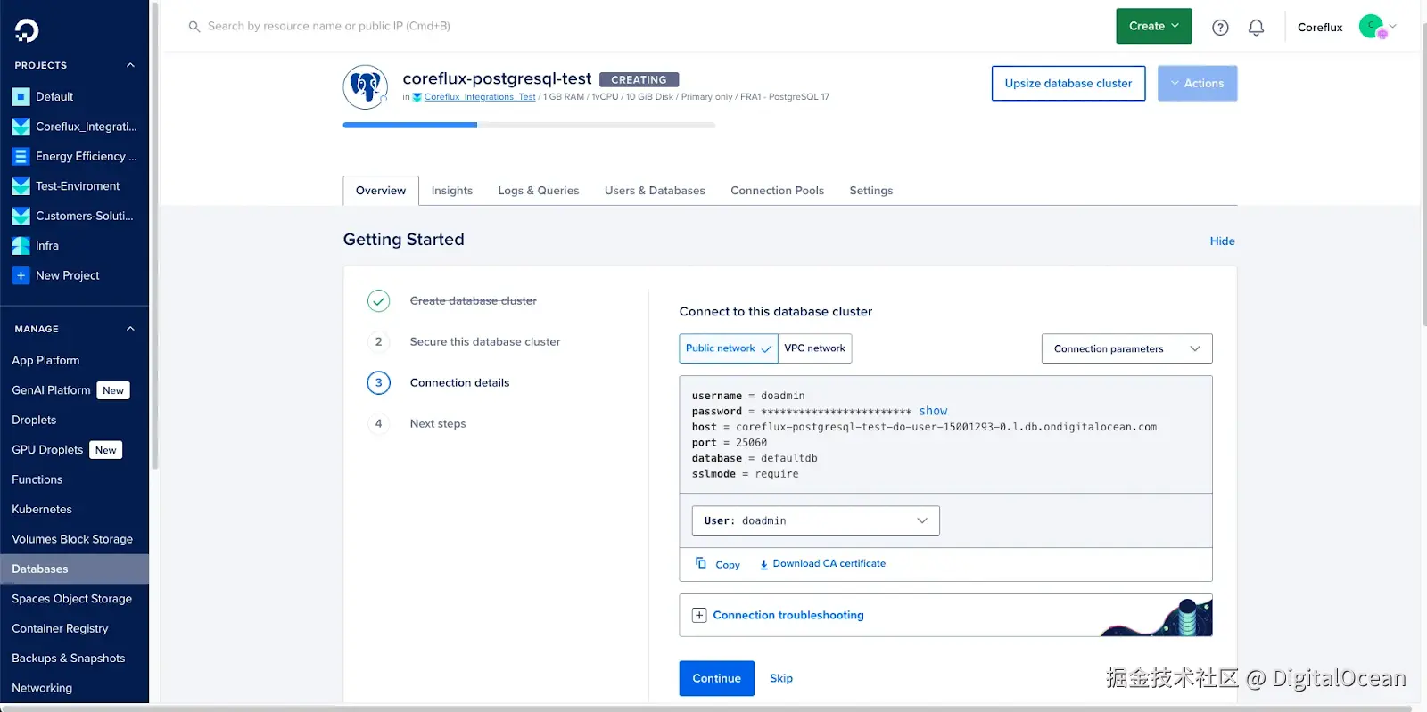 PostgreSQL 公共和 VPC 连接详细信息