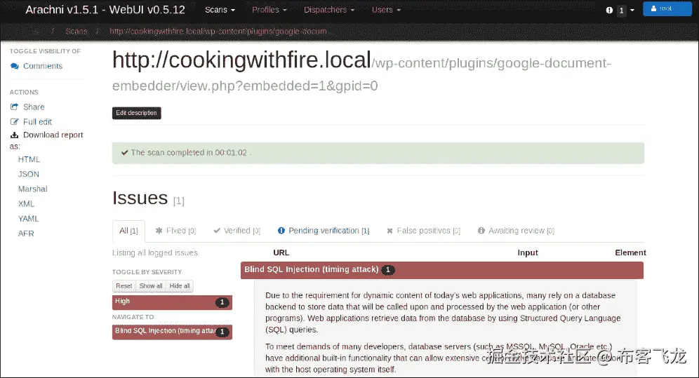 Arachni 网络扫描器