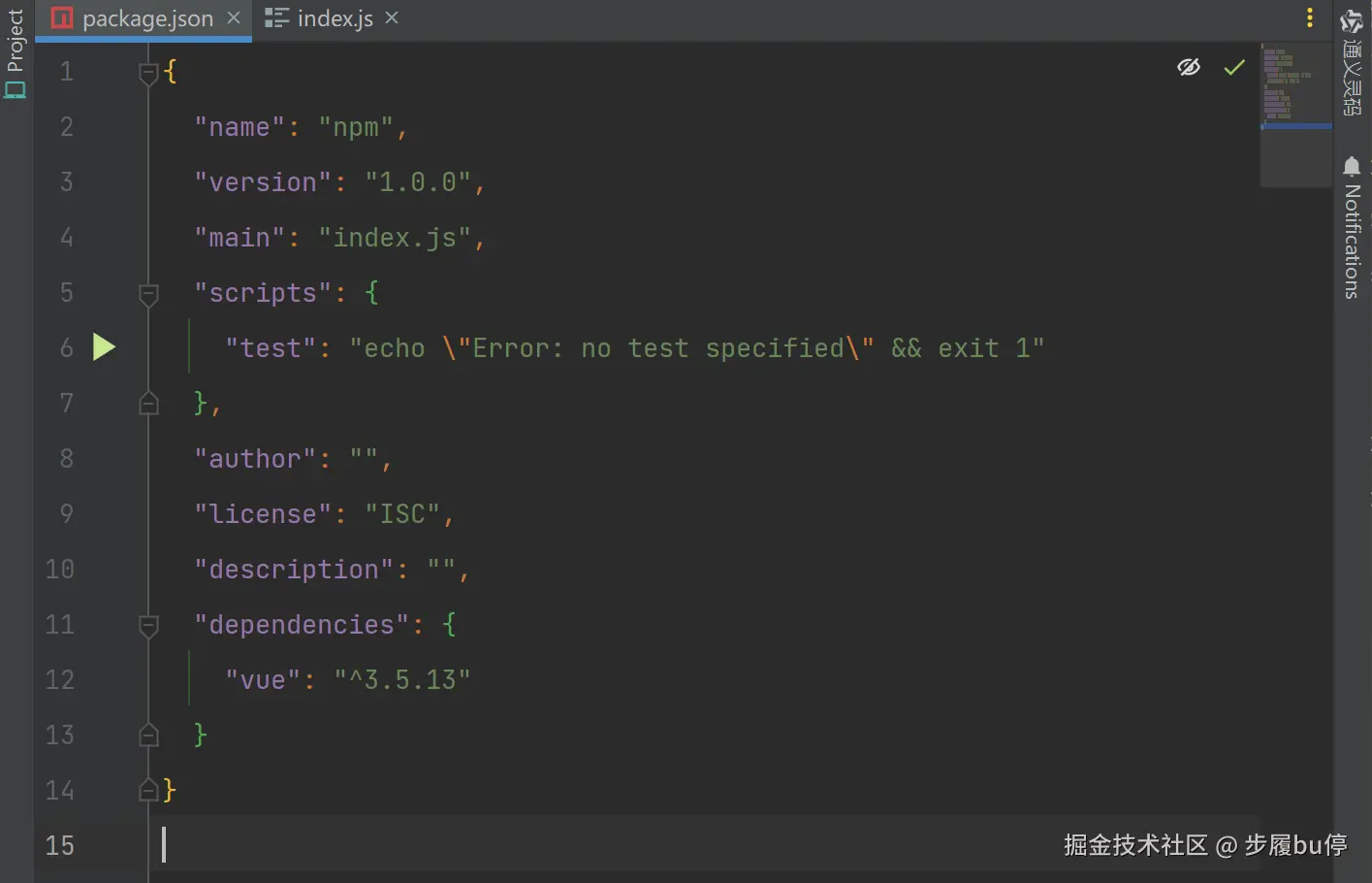 npm_package.json.png