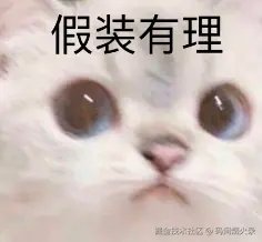 image-20250125112448687