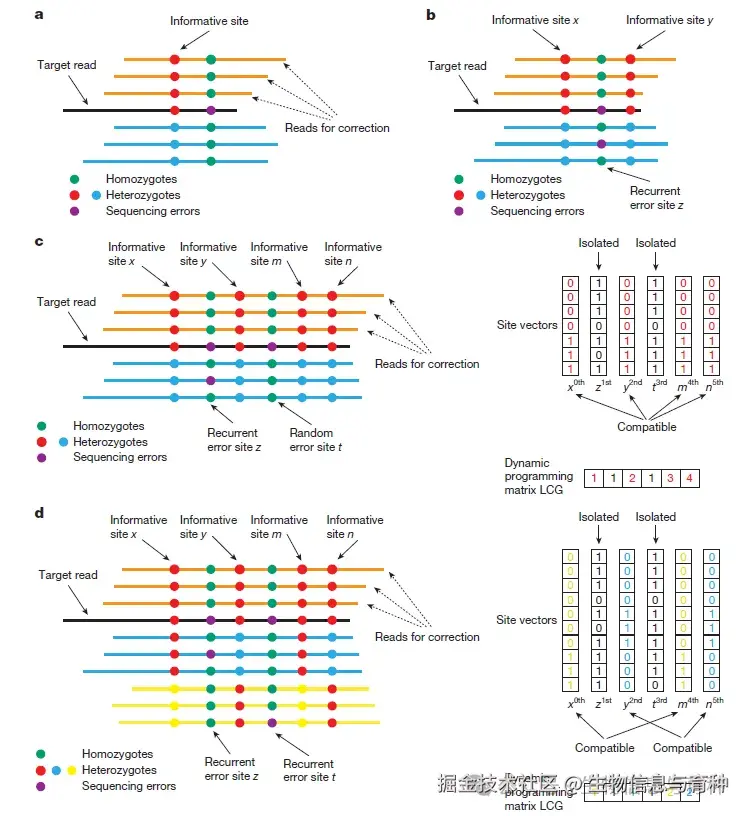 图1 | ONT simplex读长的错误校正
