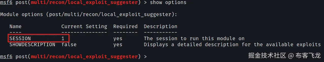 图 10.5 – local_exploit_suggester 选项    