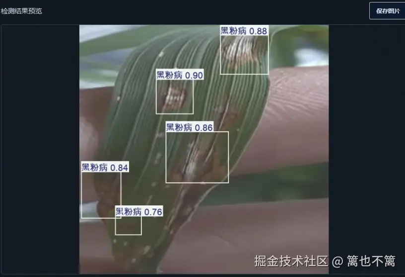 image-20251109141407236