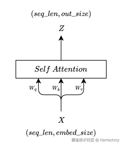c10.jpg