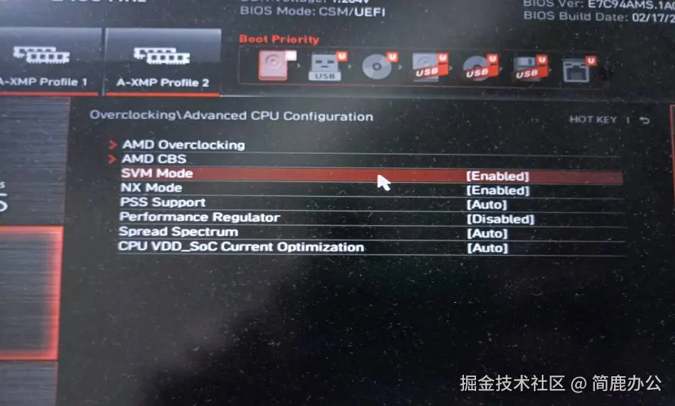 选择 SVM 模式选项