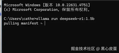 image-20250205223129465.png