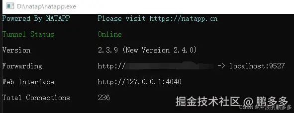 natapp5