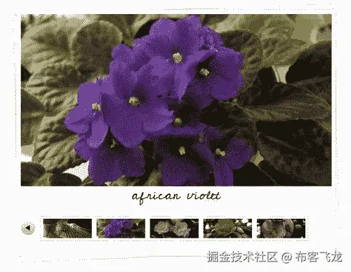 一些额外的样式