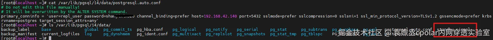 image-20260212151115299