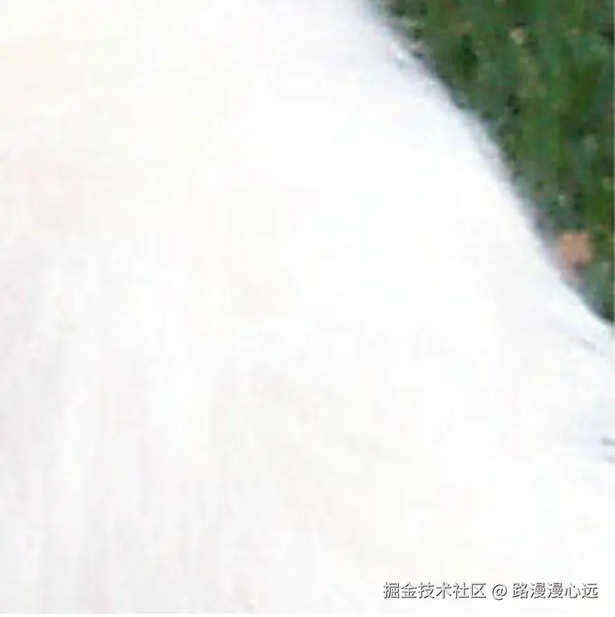 roi显示.jpg