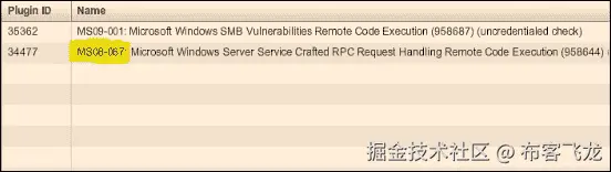 检测易受攻击的主机