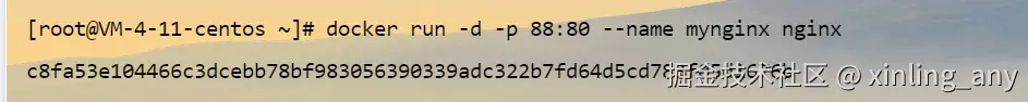 image-20240824104846876