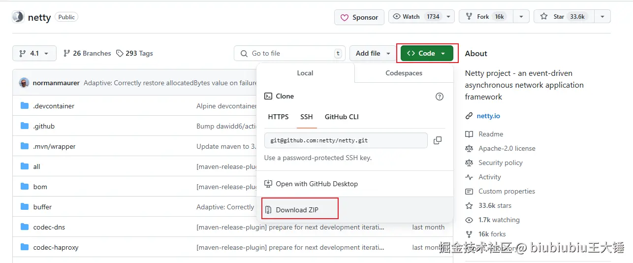 image-20241213222044545