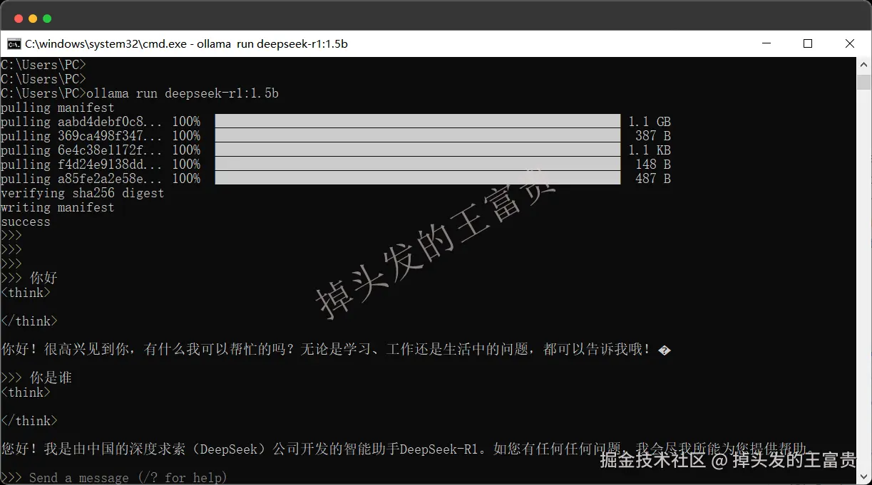 image-20250206185757928