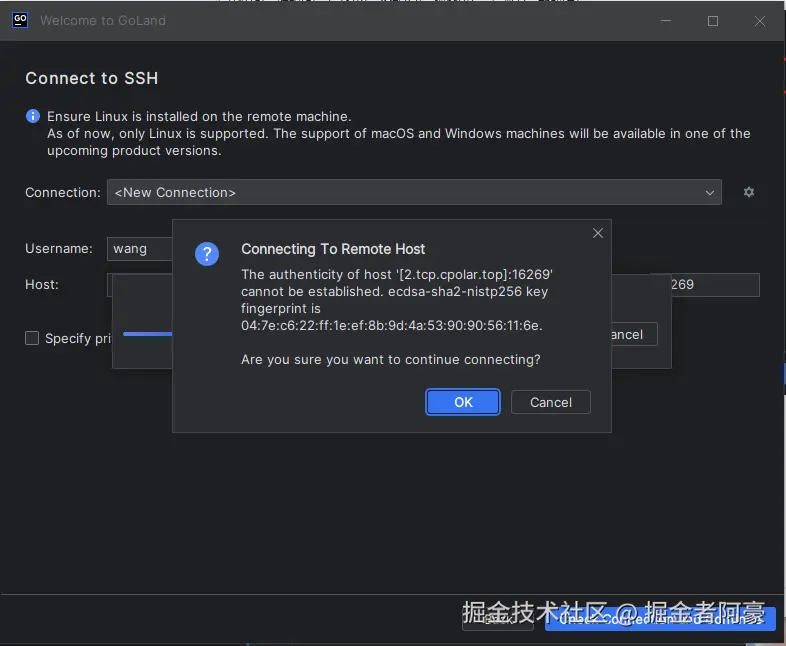 image-20240103135133221