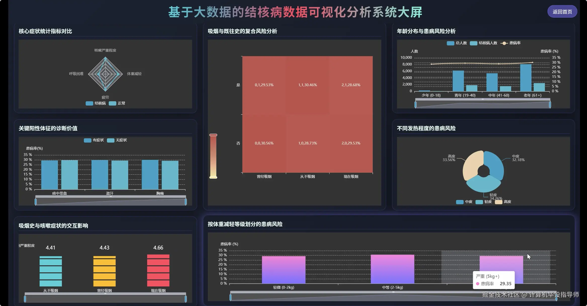 可视化大屏下.png