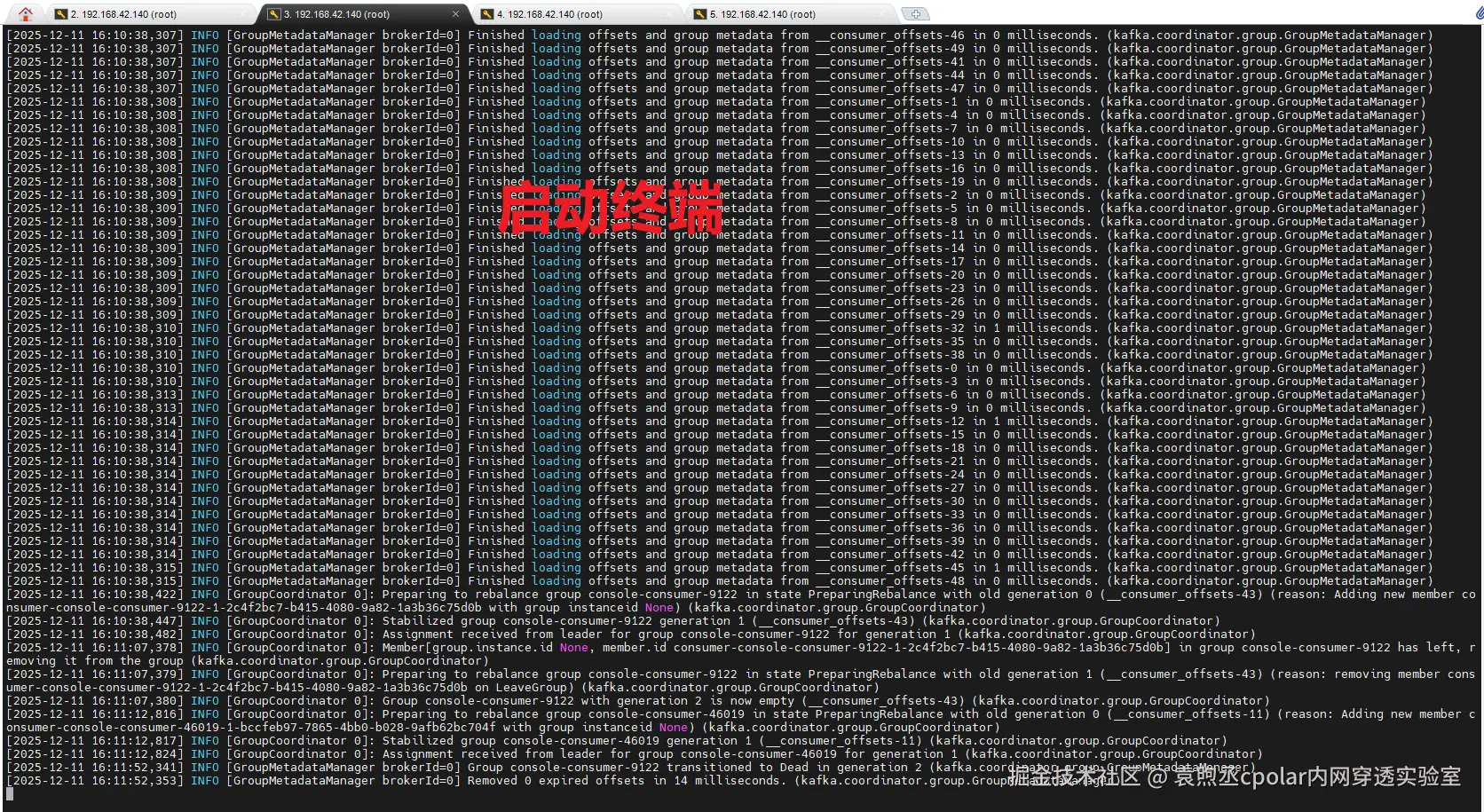 image-20251211161703102
