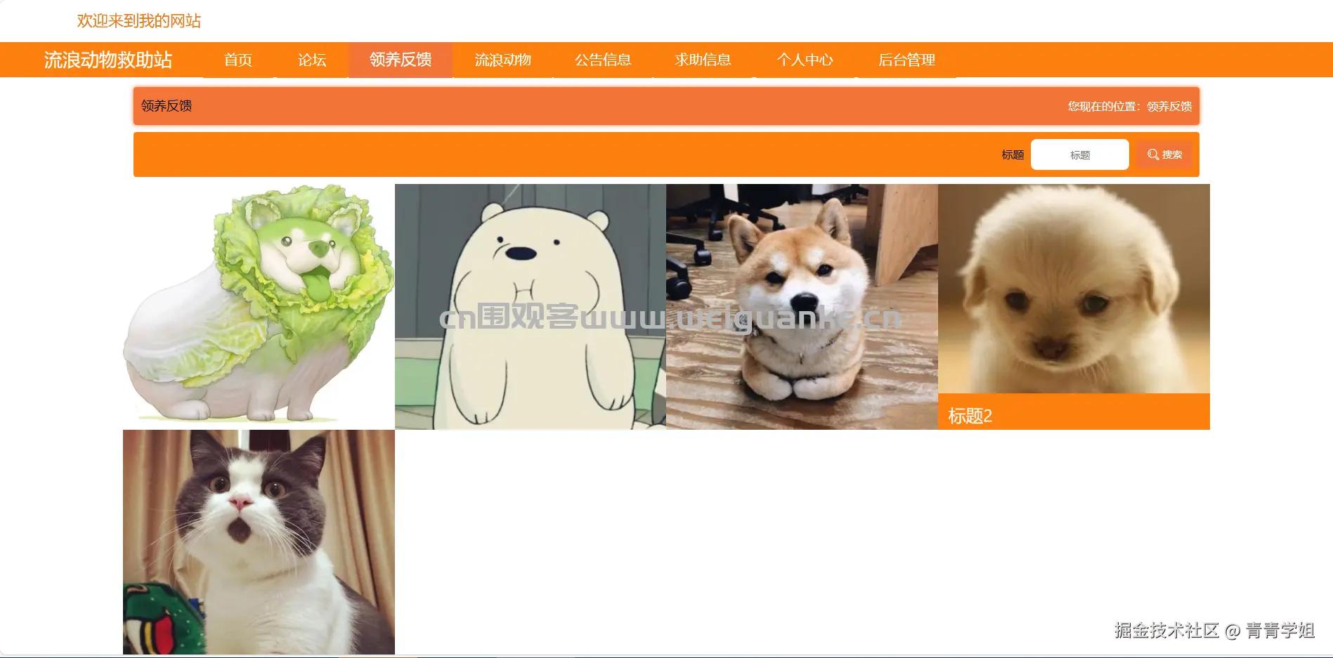 1757051491-c31d3e0378eb3f0.png