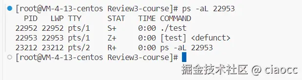 image-20231213231305785