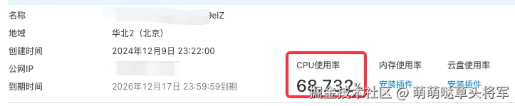 CPU 使用率