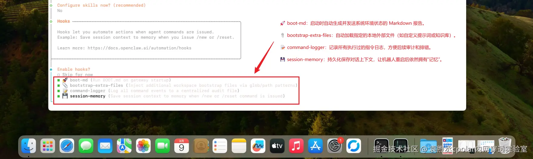 image-20260309180816522