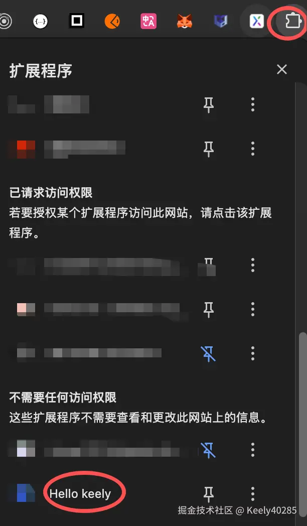 扩展程序.png