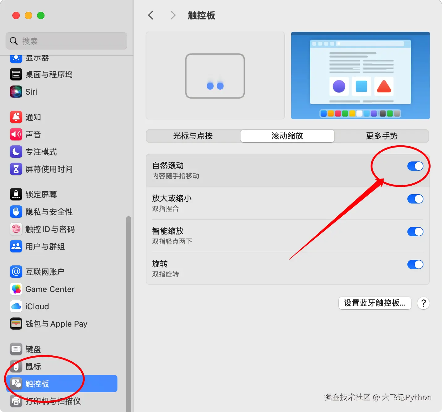 iShot_2026-05-02_上午11.00.04