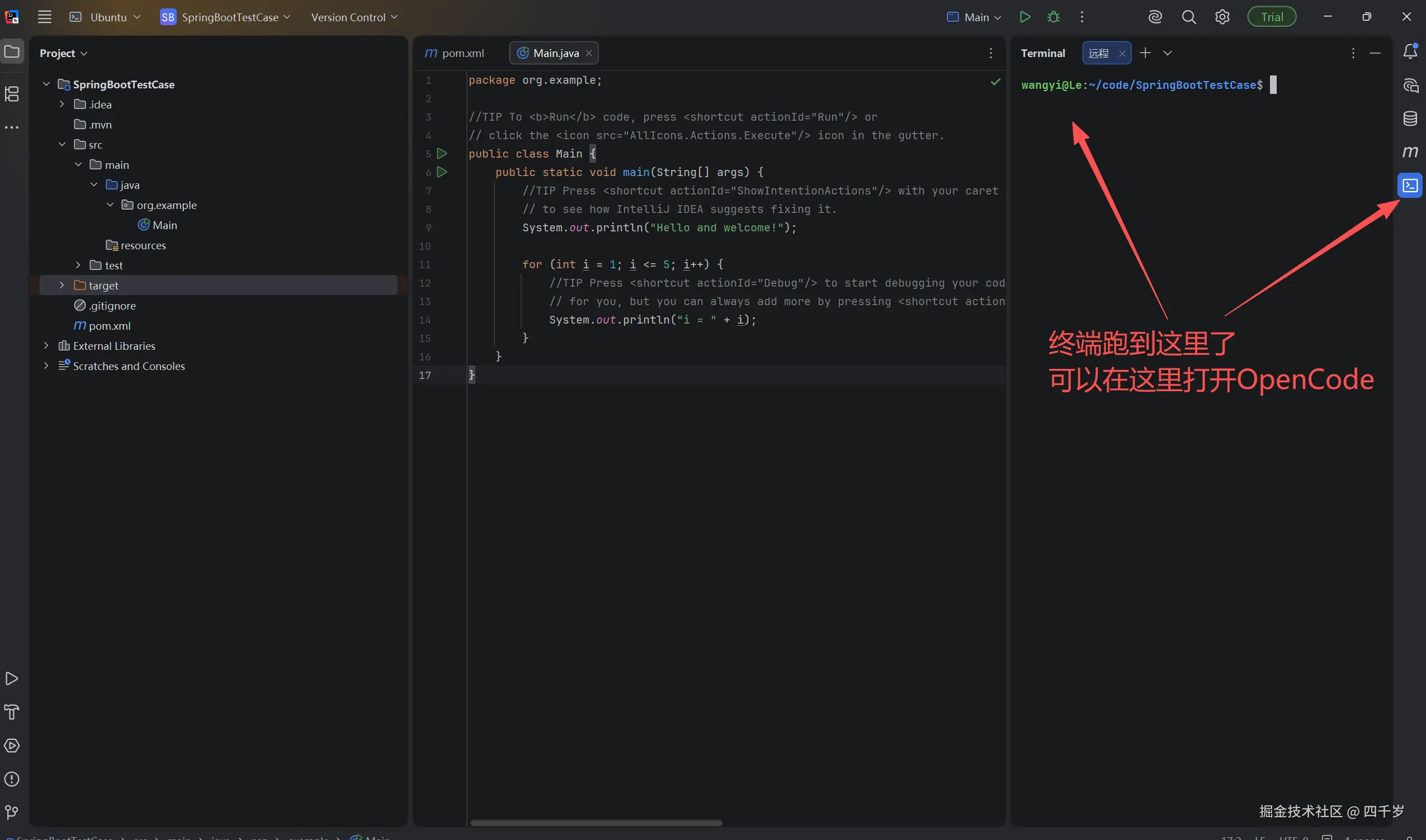 终端显示在右边